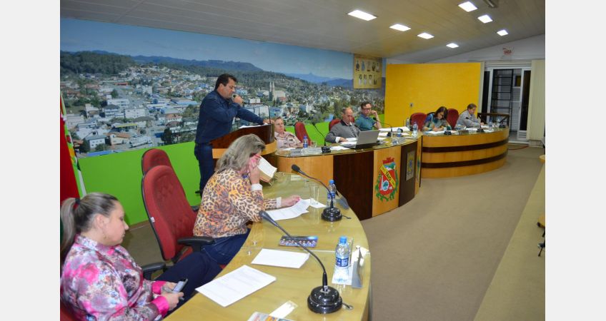 Câmara aprova lei para controle populacional de cães e gatos Câmara aprova lei para controle populacional de cães e gatos